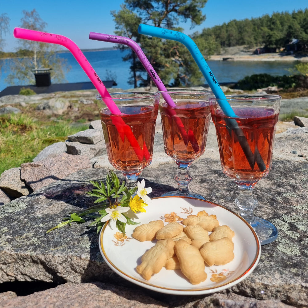 Moomin Drinking Straw 3-set XL - The Official Moomin Shop