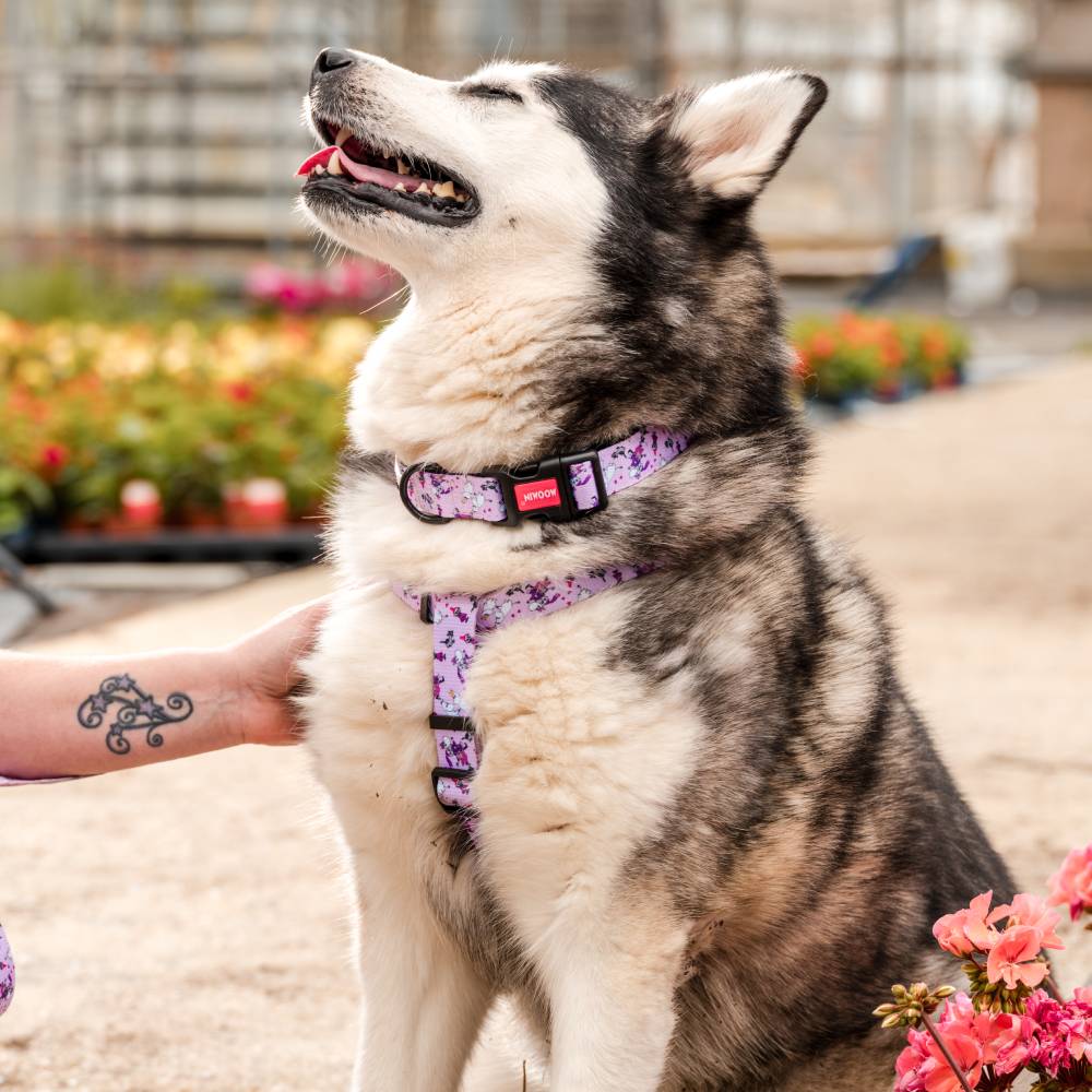 Moomin Friendship H-Harness Pink - The Official Moomin Shop