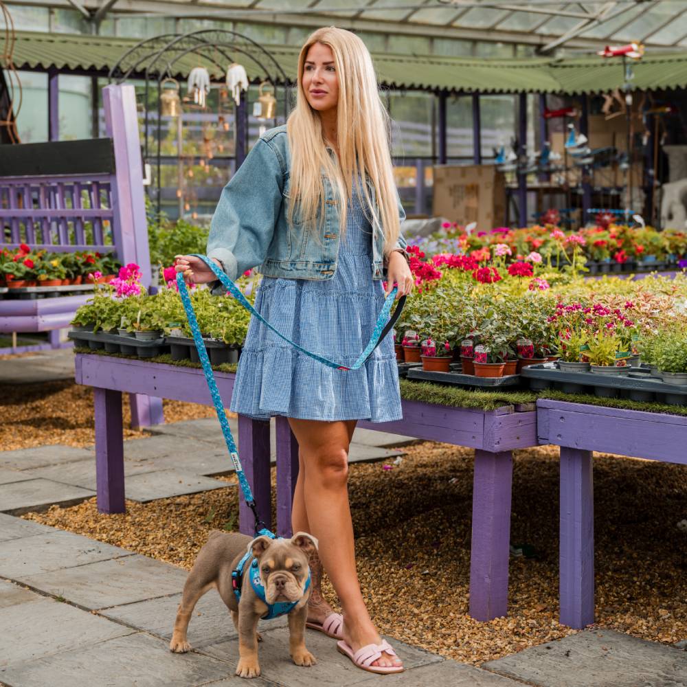 Moomin Ski Holiday H-Harness Blue - The Official Moomin Shop