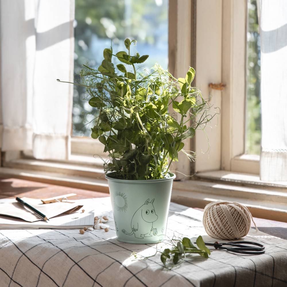 moomin plant pot Moomin Gardenia Flower Pot 11cm Green