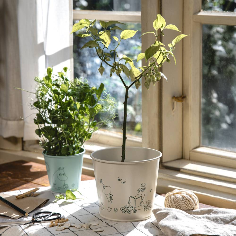 gardenia plant in pot Moomin Gardenia Flower Pot 11cm Green
