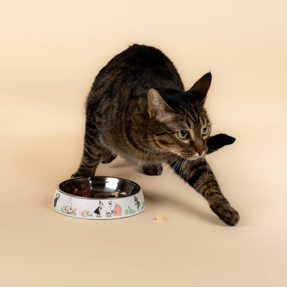 Moomin For Pets Food Bowl White XS - Muurla - The Official Moomin Shop