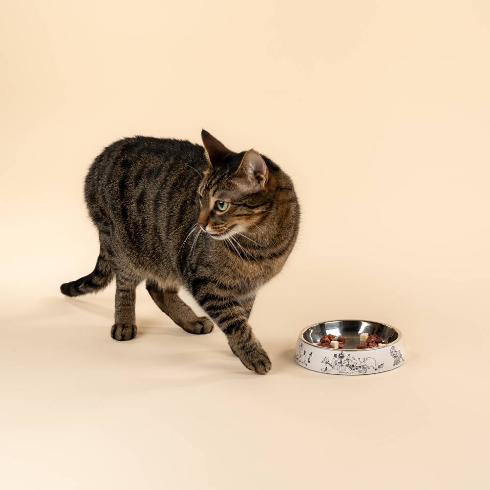 Moomin For Pets Food Bowl Beige XS - Muurla - The Official Moomin Shop