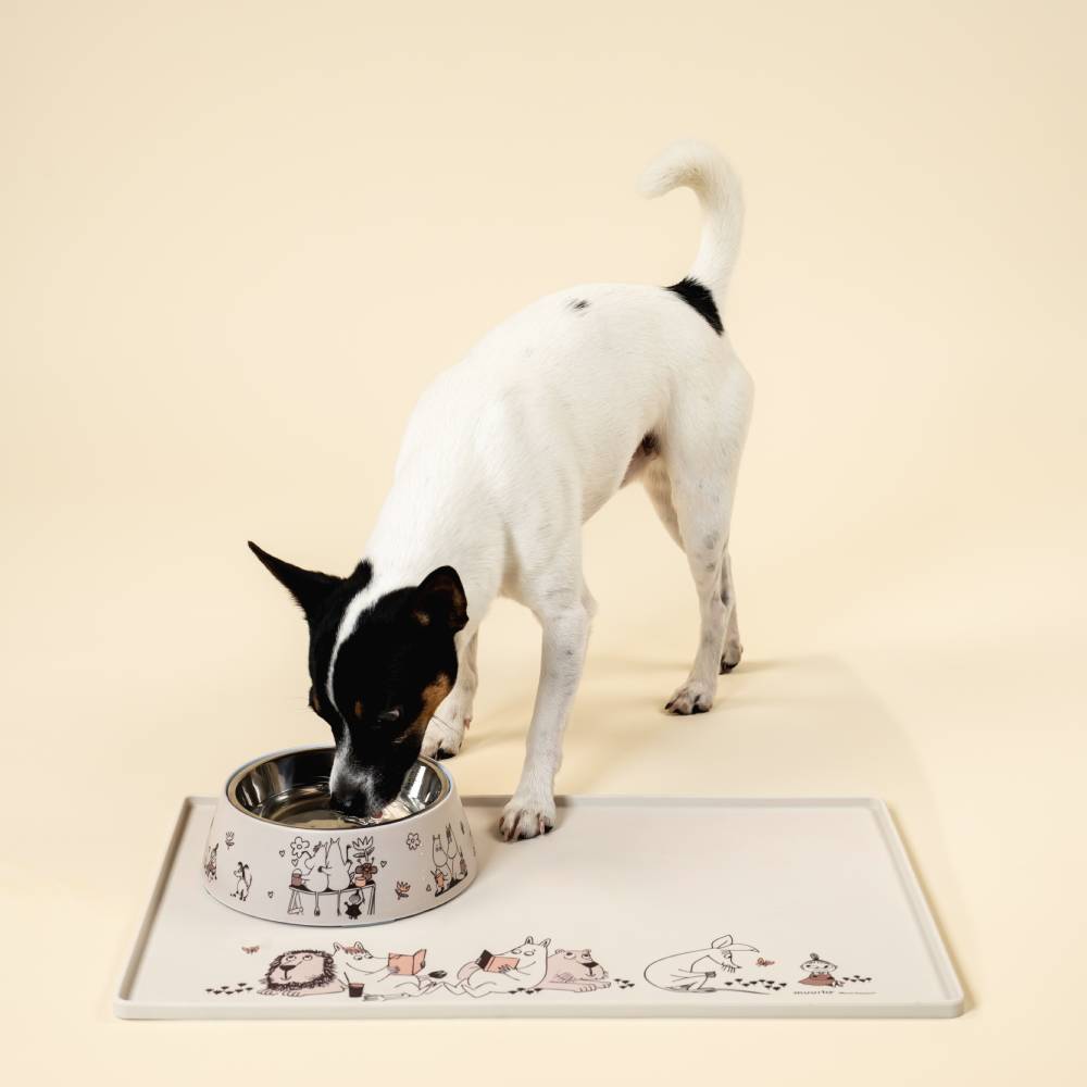Moomin Moments For Pets Food Bowl M - The Official Moomin Shop
