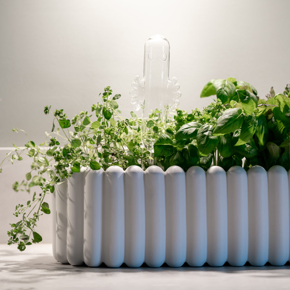 Hattifattener Watering Bulb- Muurla - The Official Moomin Shop