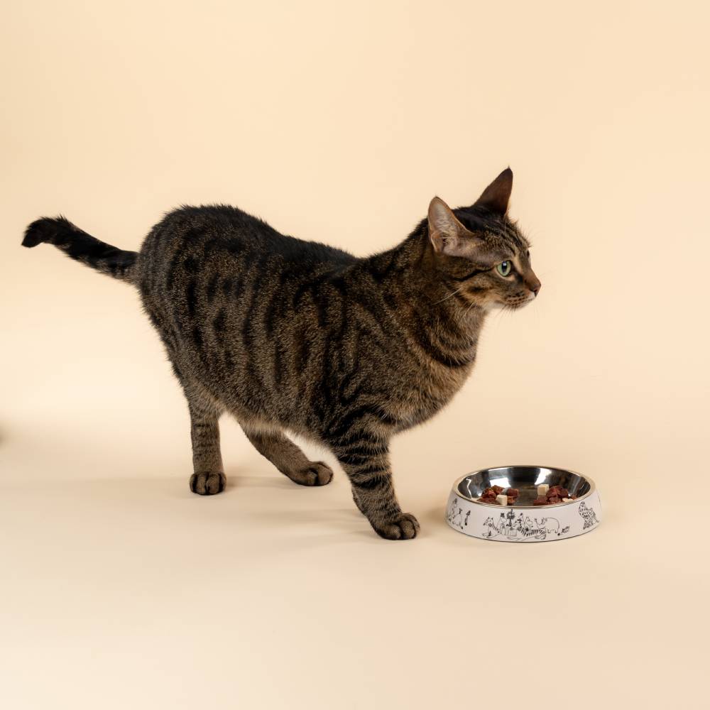 Moomin For Pets Food Bowl Beige XS - Muurla - The Official Moomin Shop