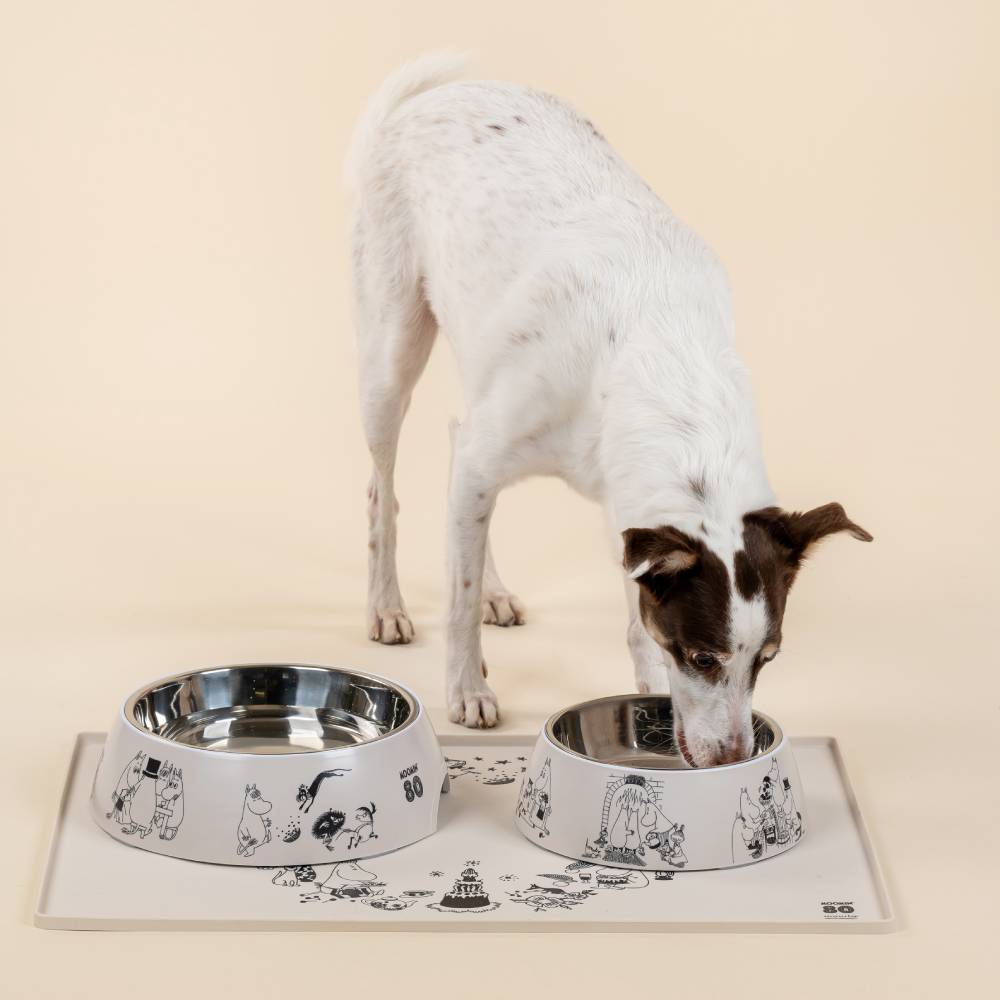Moomin For Pets Food Bowl Beige L - Muurla - The Official Moomin Shop
