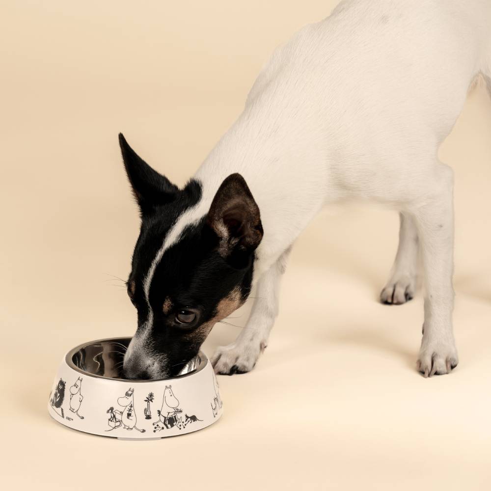 Moomin For Pets Food Bowl Beige S - The Official Moomin Shop