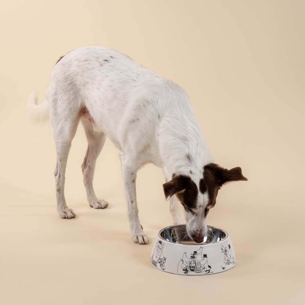 Moomin For Pets Food Bowl Beige L - The Official Moomin Shop