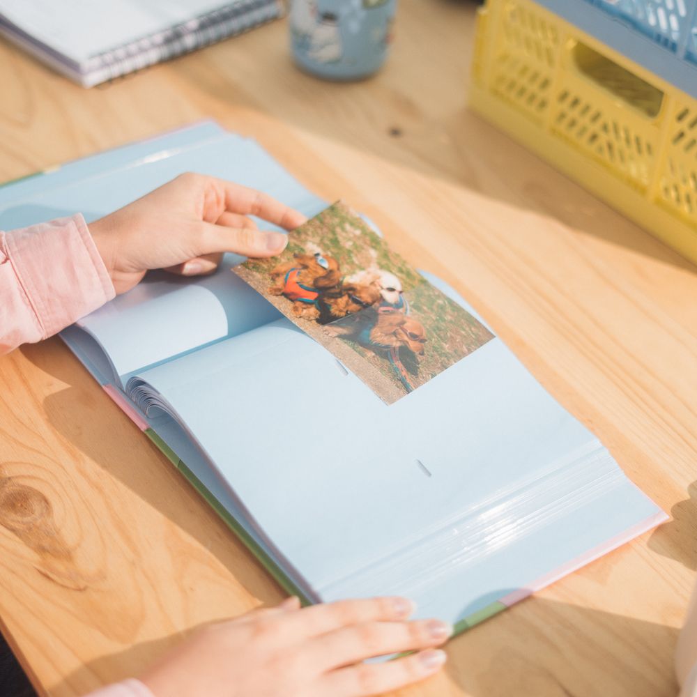 Moomin Photo Album Pink - The Official Moomin Shop