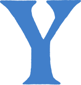 Y