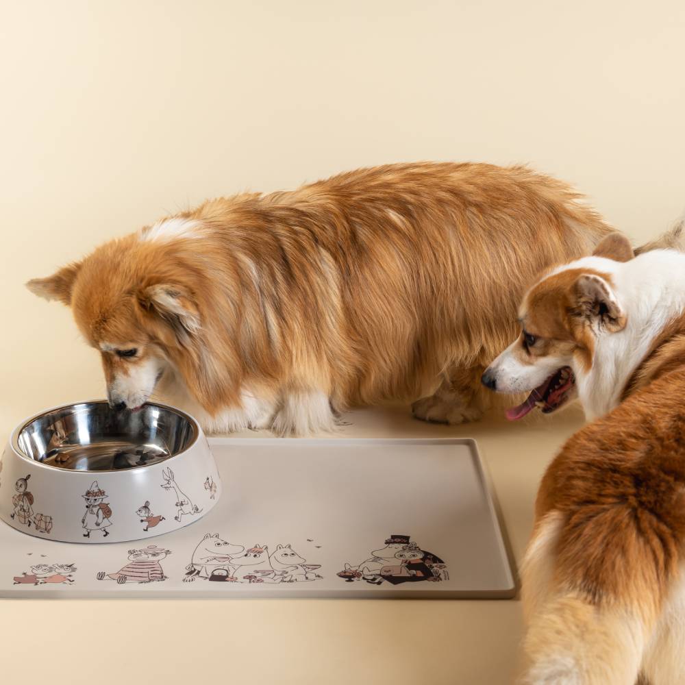 Moomin Moments For Pets Food Bowl XL - The Official Moomin Shop