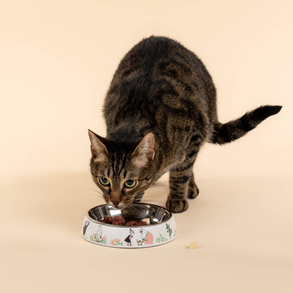 Moomin For Pets Food Bowl White XS - The Official Moomin Shop