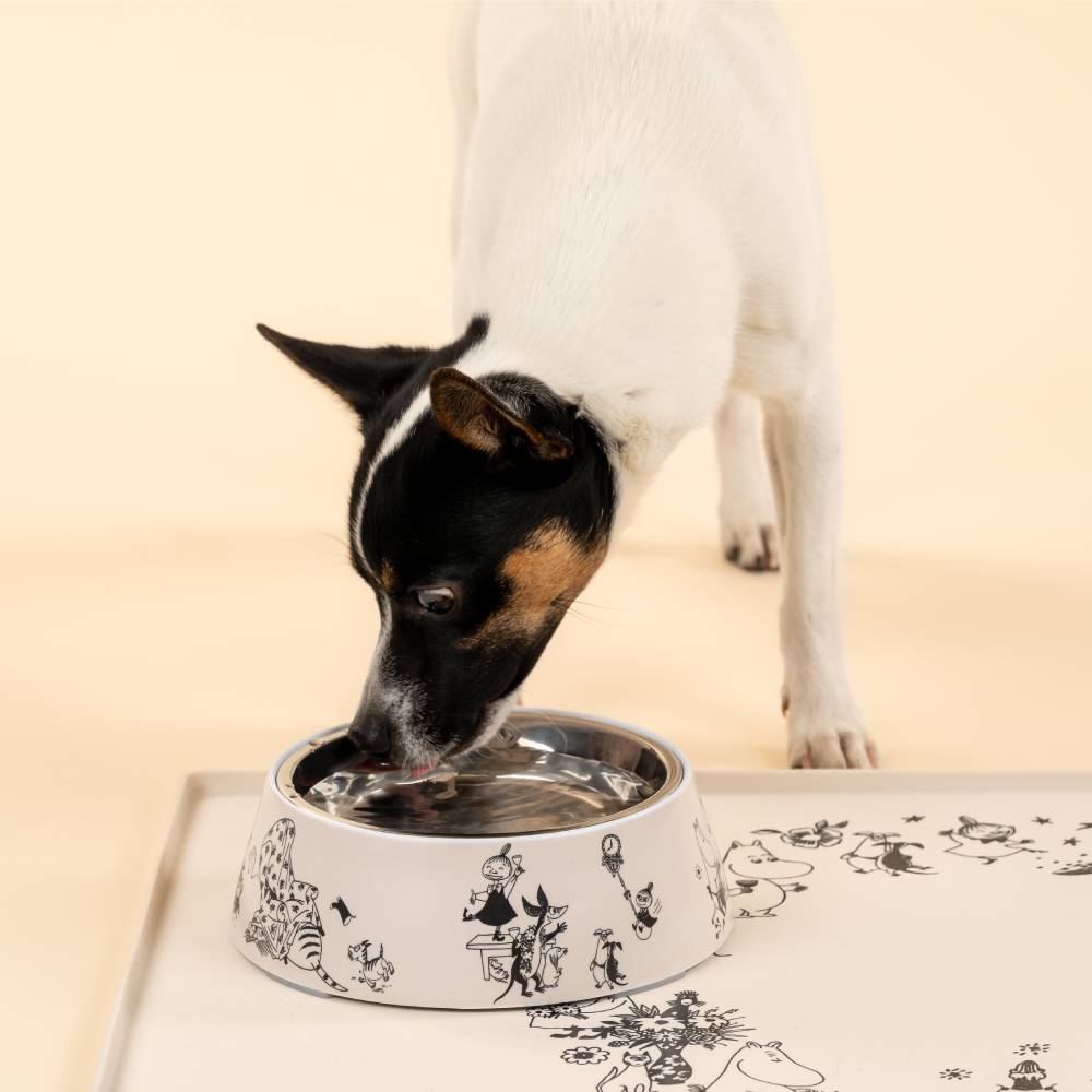 Moomin For Pets Food Bowl Beige M - Muurla - The Official Moomin Shop